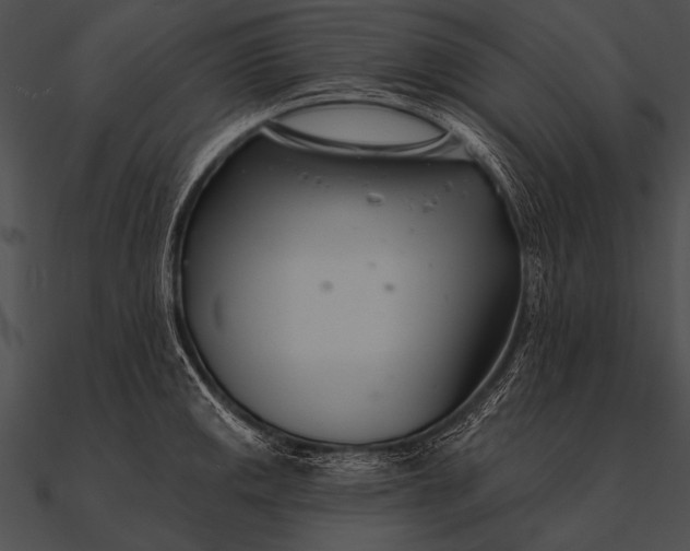 X0000090481141200708031119