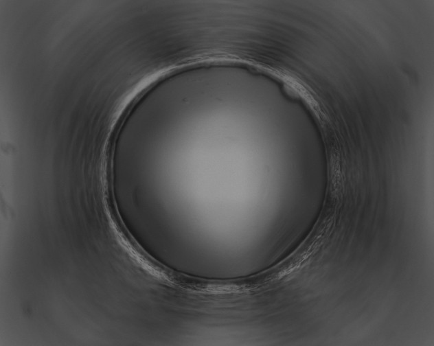 X0000090481142200708031119