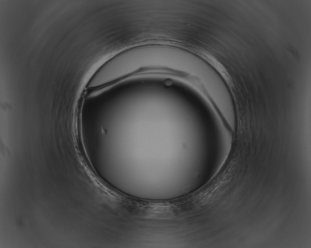 X0000090481144200708031119