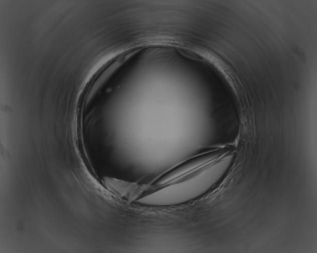 X0000090481147200708031119