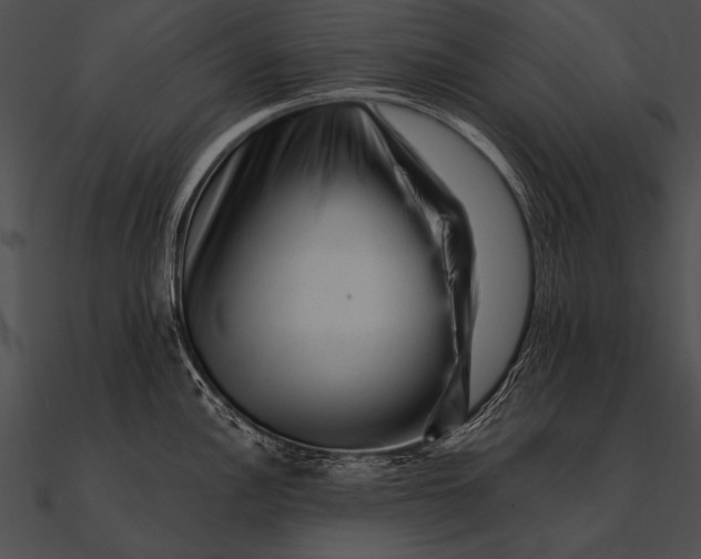 X0000090481148200708031119