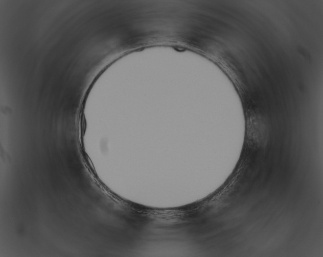 X0000090481150200708031119