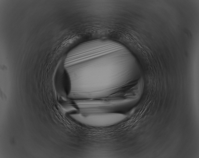 X0000090481153200708031118