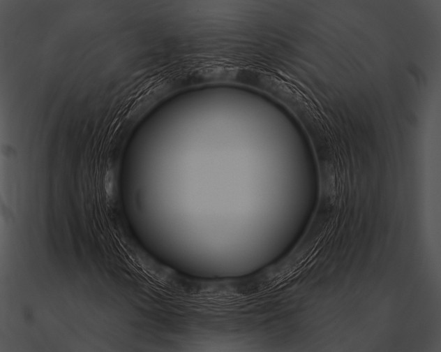X0000090481154200708031118