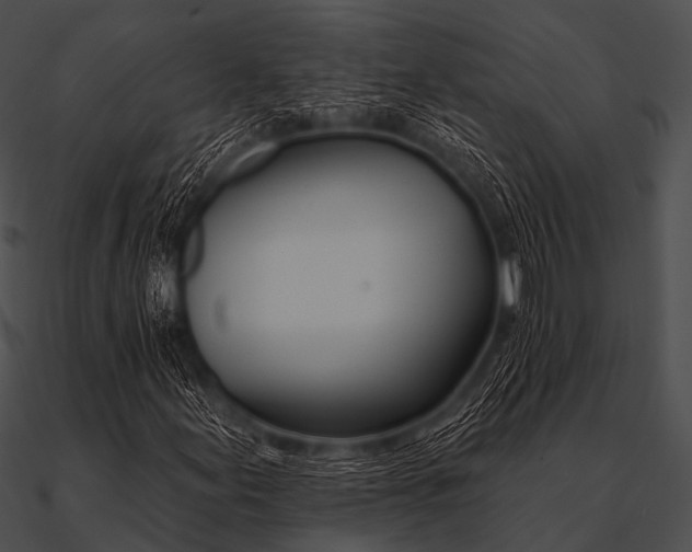 X0000090481155200708031118