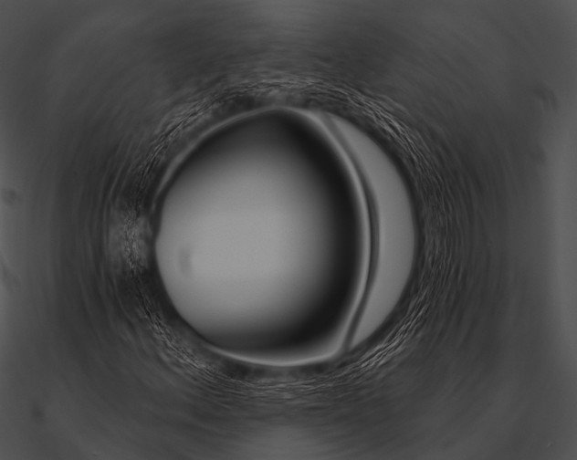 X0000090481156200708031118