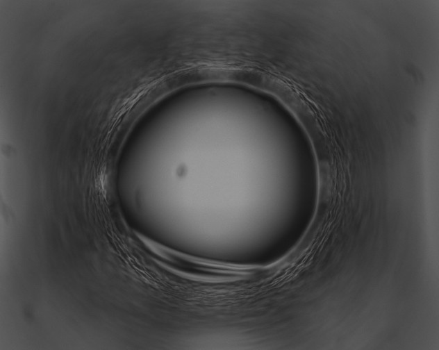 X0000090481157200708031118