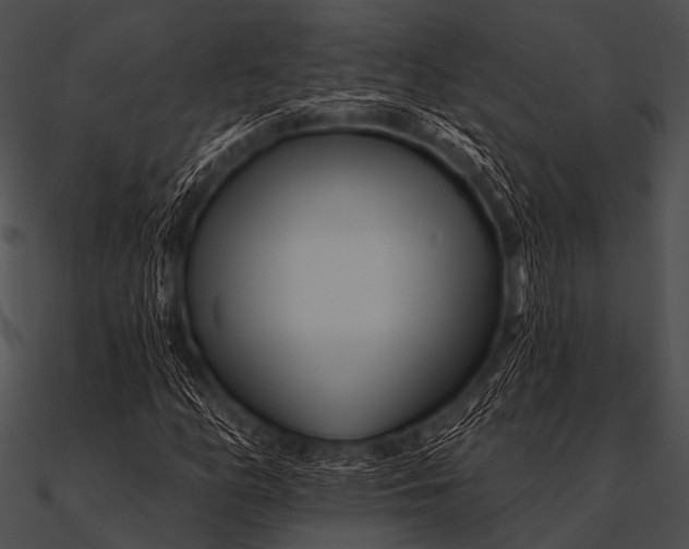 X0000090481158200708031118