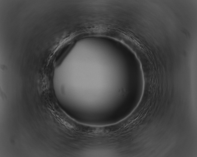 X0000090481160200708031118