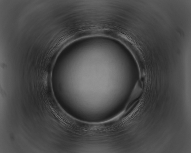 X0000090481161200708031118