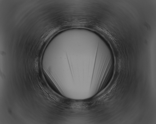 X0000090481162200708031118