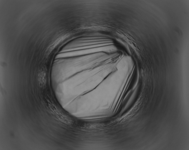 X0000090481163200708031118