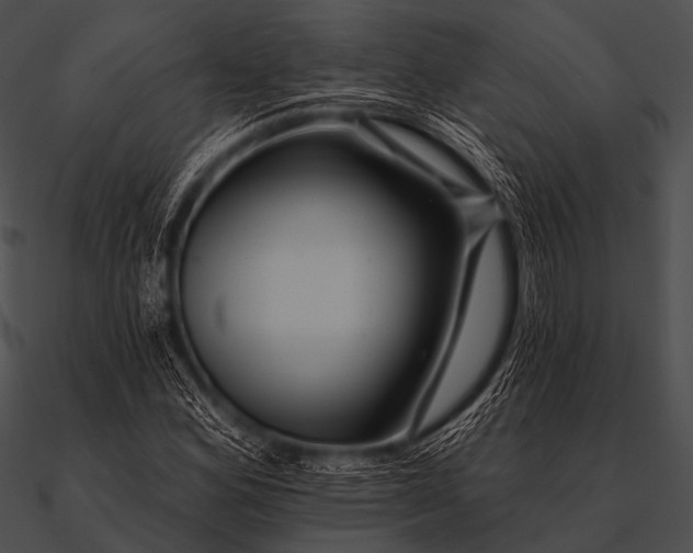 X0000090481164200708031118