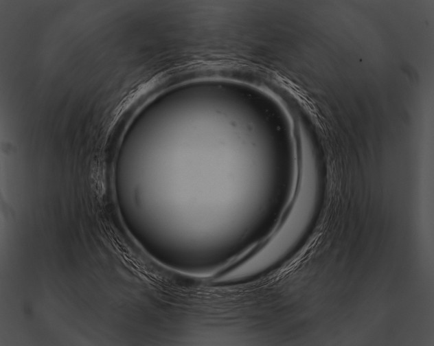 X0000090481165200708031118