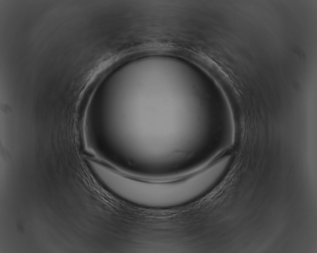 X0000090481168200708031118