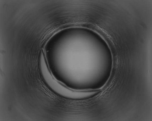 X0000090481169200708031118