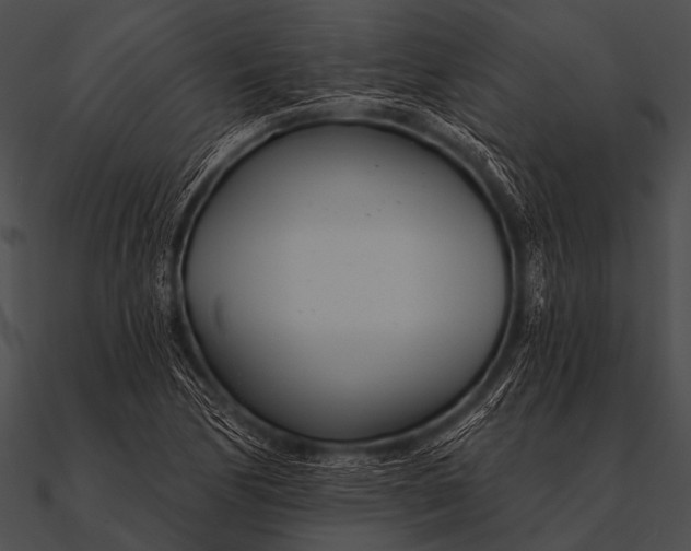 X0000090481170200708031118