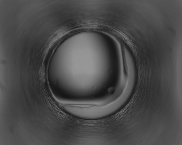 X0000090481172200708031118