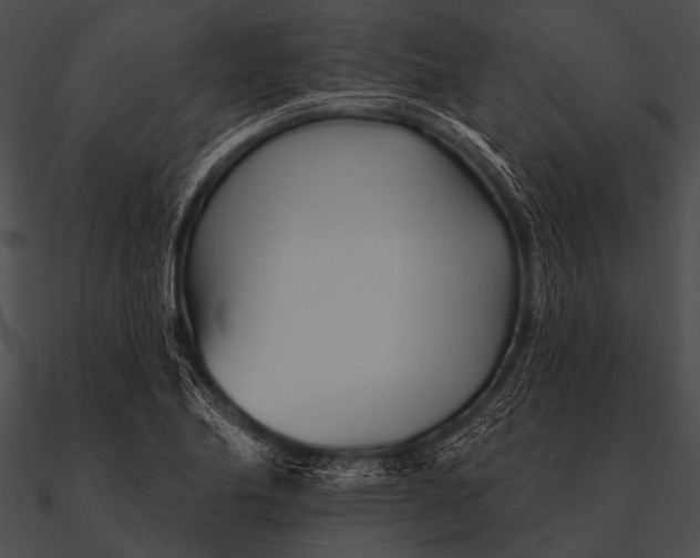 X0000090481174200708031118