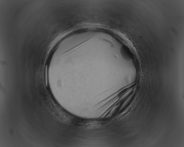 X0000090481175200708031118