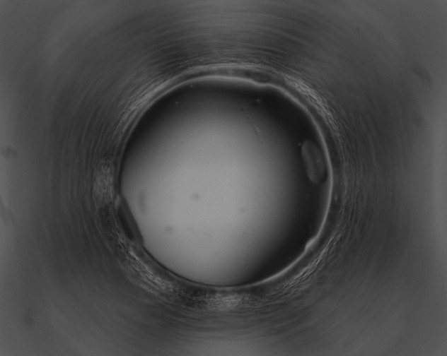 X0000090481177200708031118