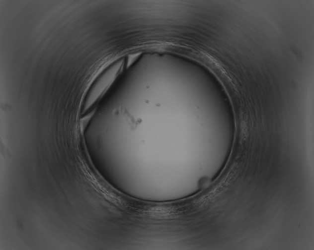 X0000090481178200708031118