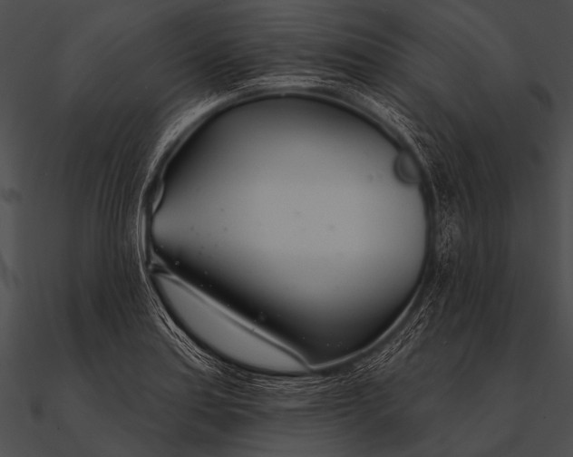 X0000090481179200708031118