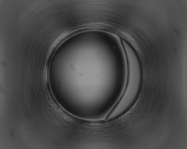 X0000090481180200708031118