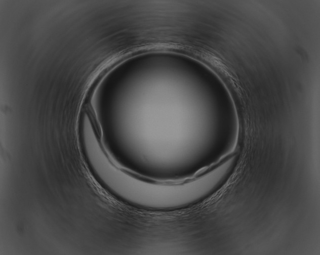 X0000090481181200708031118