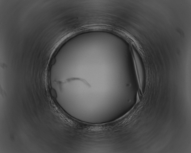 X0000090481182200708031118
