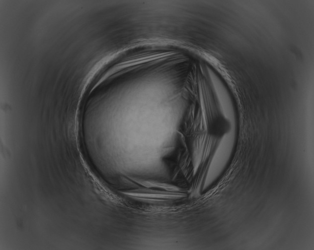 X0000090481183200708031118