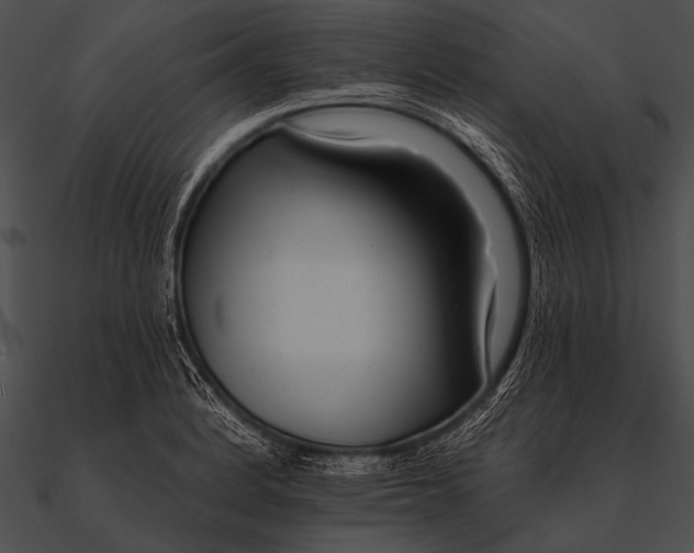 X0000090481184200708031118