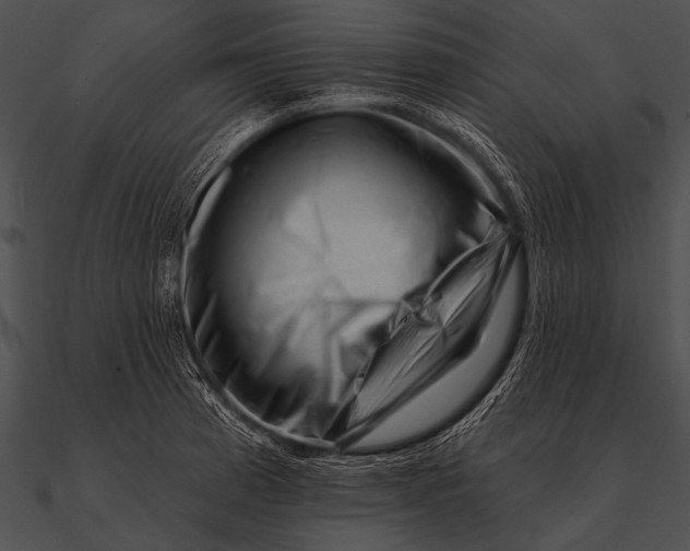 X0000090481185200708031118