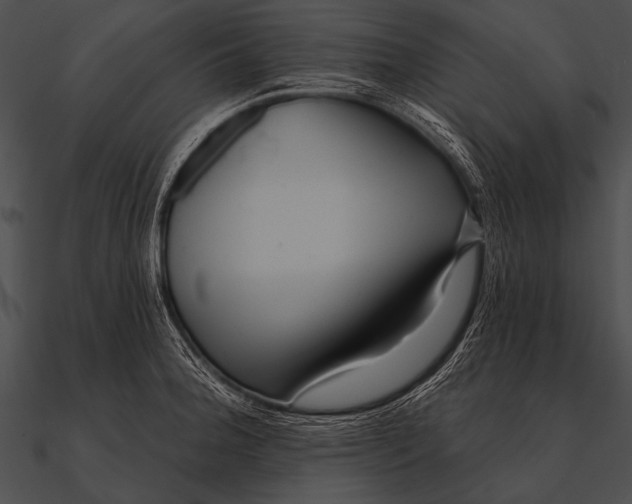 X0000090481188200708031118