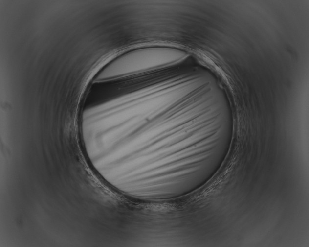 X0000090481189200708031118