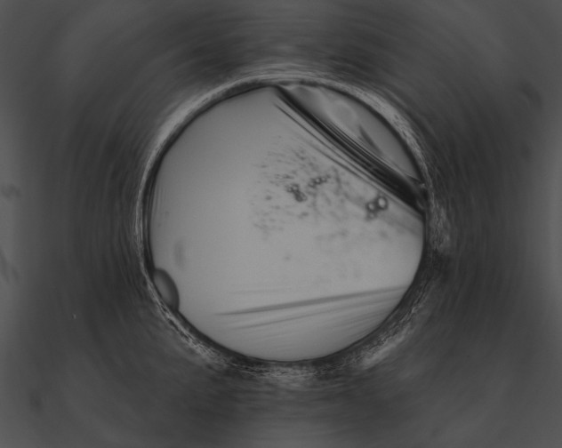 X0000090481191200708031118