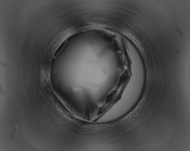 X0000090481193200708031118