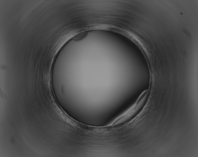 X0000090481194200708031118