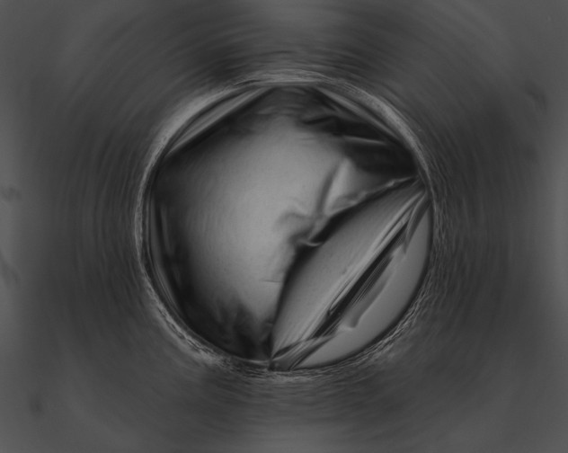 X0000090481195200708031118