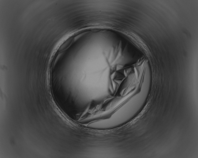 X0000090481196200708031118