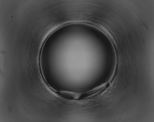 X0000090481197200708031118