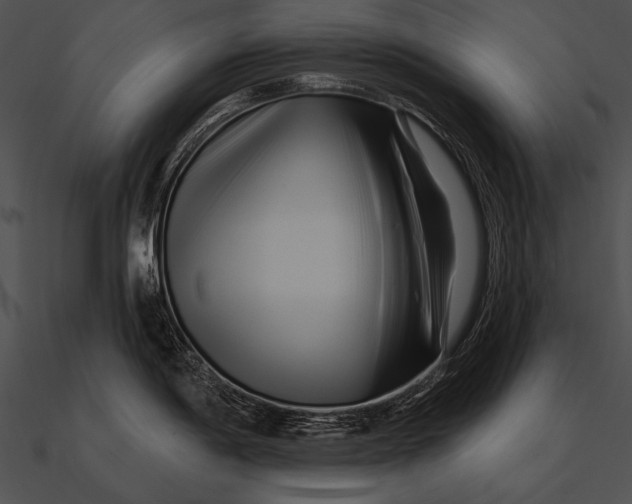 X0000090481198200708031118