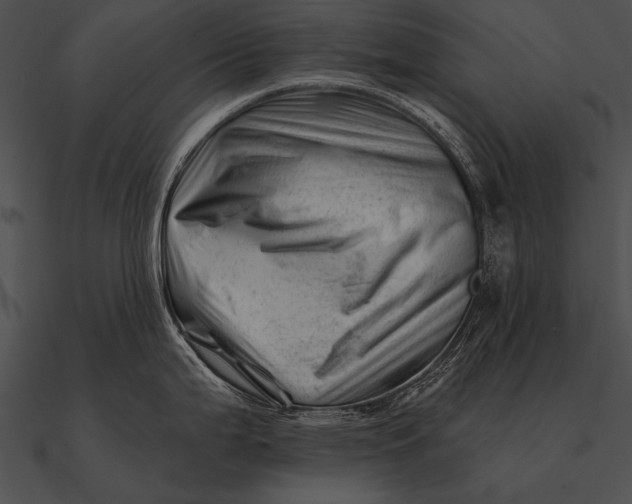 X0000090481199200708031118