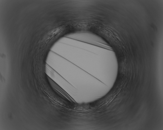 X0000090481201200708031117