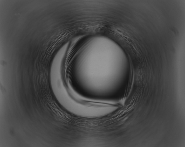 X0000090481202200708031117