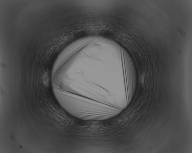 X0000090481204200708031117