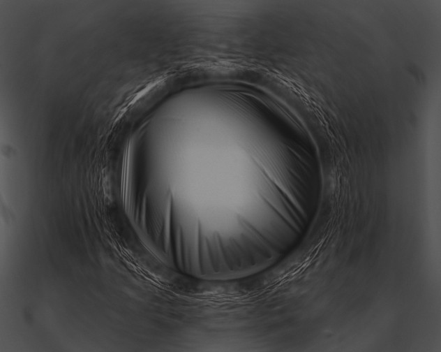 X0000090481205200708031117