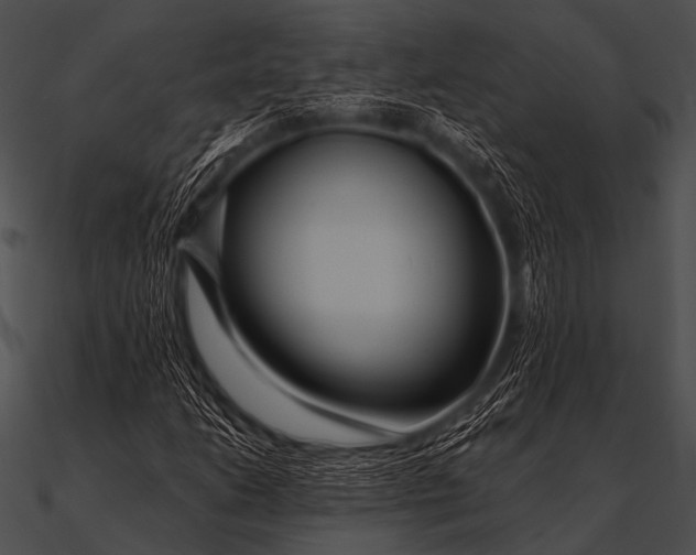 X0000090481206200708031117