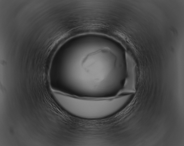 X0000090481210200708031117