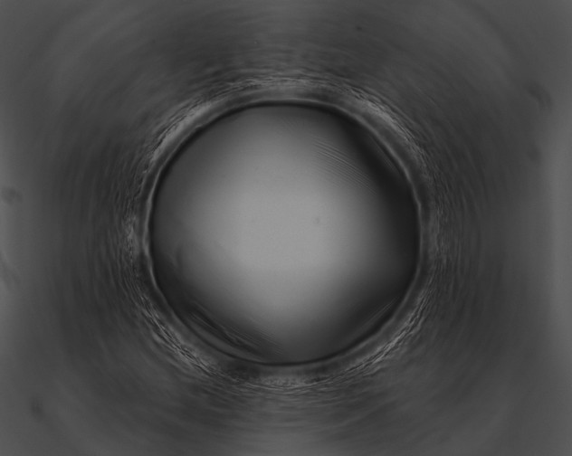 X0000090481212200708031117